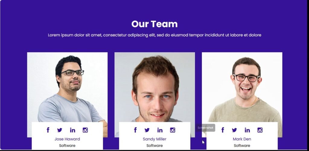 Software Company Website Template